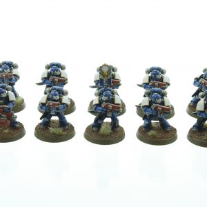 Ultramarines Tactical Squad