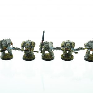 Rogue Trader Grey Knight Terminators