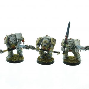 Rogue Trader Grey Knight Terminators