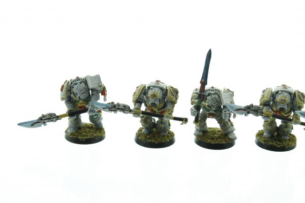 Rogue Trader Grey Knight Terminators