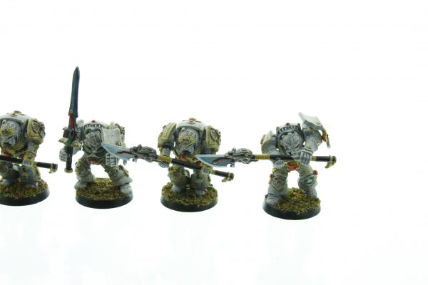 Rogue Trader Grey Knight Terminators