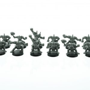 Bloodbowl Orc Team