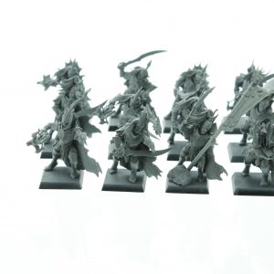 Dark Elf Black Ark Corsairs