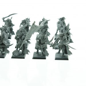 Dark Elf Black Ark Corsairs