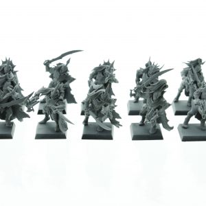 Dark Elf Black Ark Corsairs