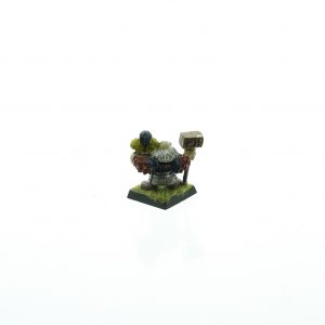 Marauder Dwarf Champion