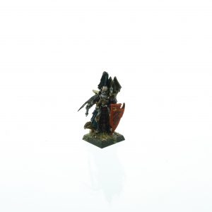 Dark Elf Dreadlord