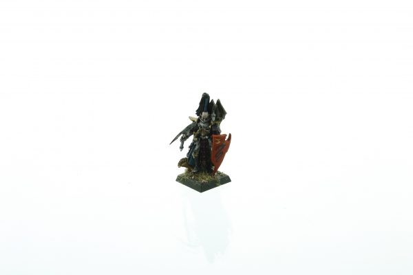 Dark Elf Dreadlord