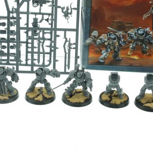 Grey Knight Terminator Squad