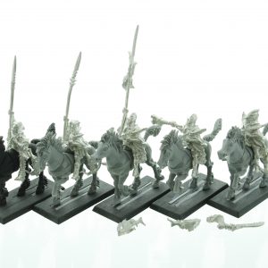 Dark Elves Dark Riders