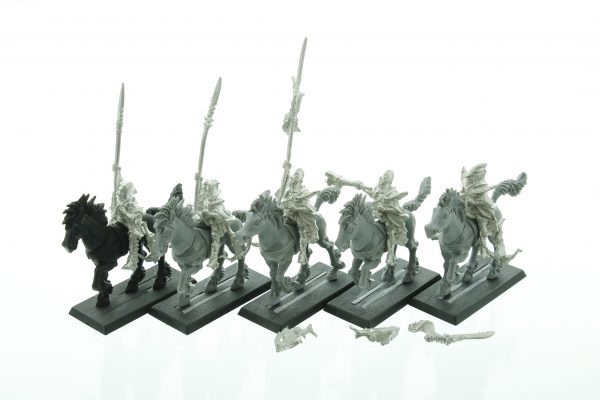 Dark Elves Dark Riders