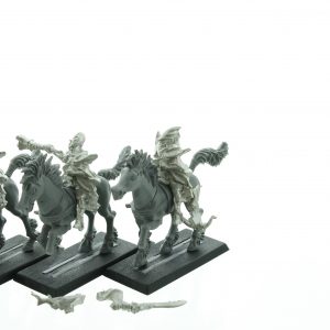 Dark Elves Dark Riders