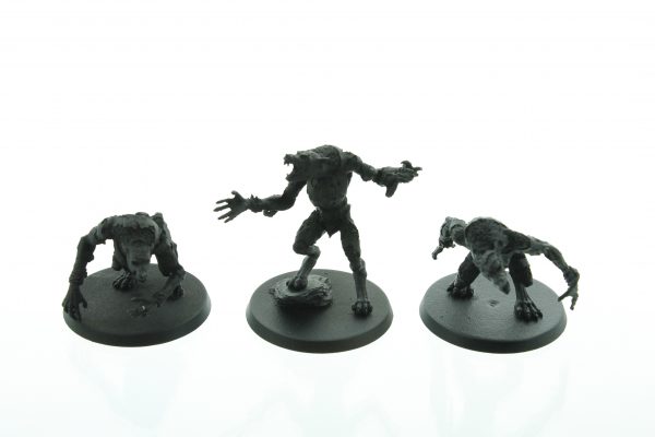 Forge World Skin Wolves