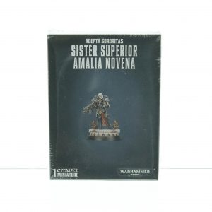 Sister Superior Amalia Novena