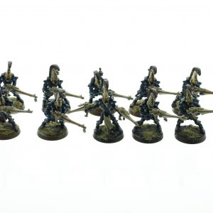 Eldar Dire Avengers