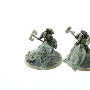 Thunderwolf Cavalry