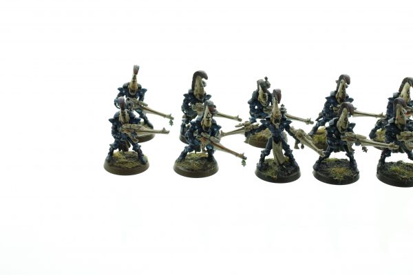 Eldar Dire Avengers