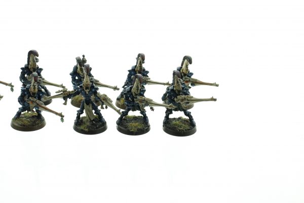 Eldar Dire Avengers