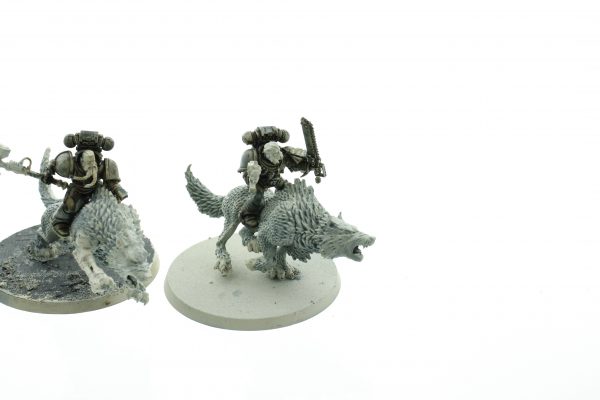 Thunderwolf Cavalry