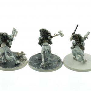 Thunderwolf Cavalry