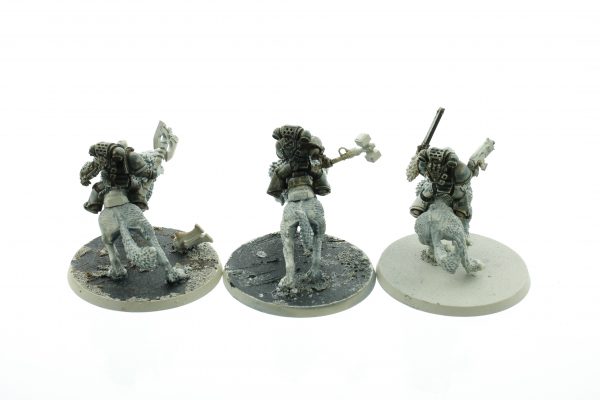 Thunderwolf Cavalry