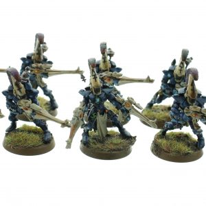 Eldar Dire Avengers