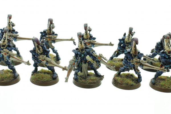 Eldar Dire Avengers