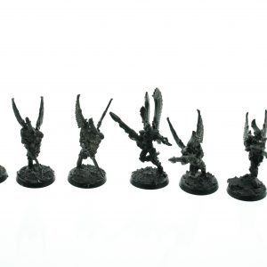 Eldar Swooping Hawks