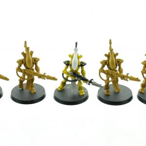 Eldar Wraithguard