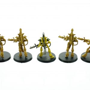 Craftworlds Wraithguard