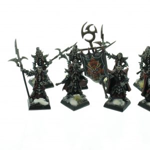 Dark Elf Black Guard