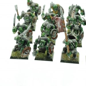 Orc Warriors Regiment