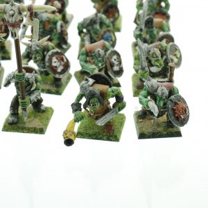 Orc Warriors Regiment