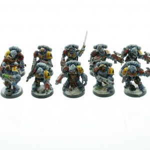 Space Wolf Tactical Squad