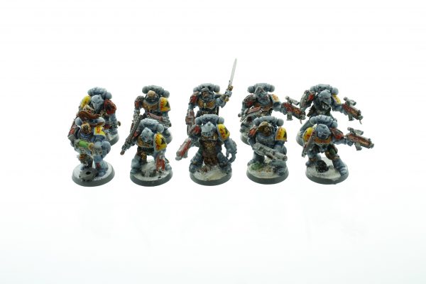 Space Wolf Tactical Squad