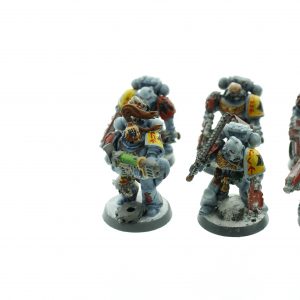 Space Wolf Tactical Squad