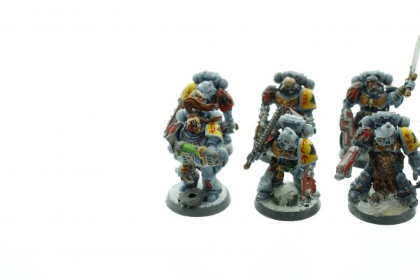 Space Wolf Tactical Squad