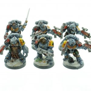 Space Wolf Tactical Squad