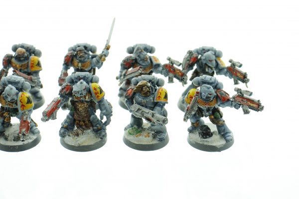 Space Wolf Tactical Squad