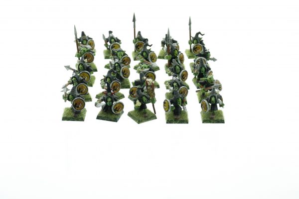 Night Goblin Spearmen