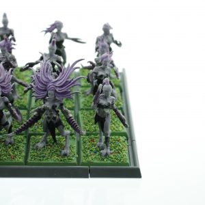 Daemonettes of Slaanesh