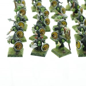 Night Goblin Spearmen