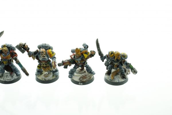 Space Wolf Scout Squad