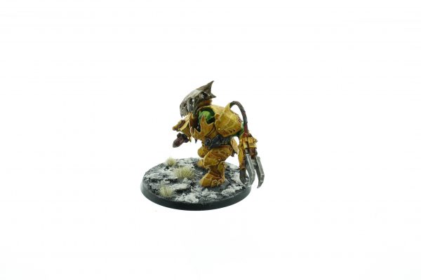 Space Orks Warboss