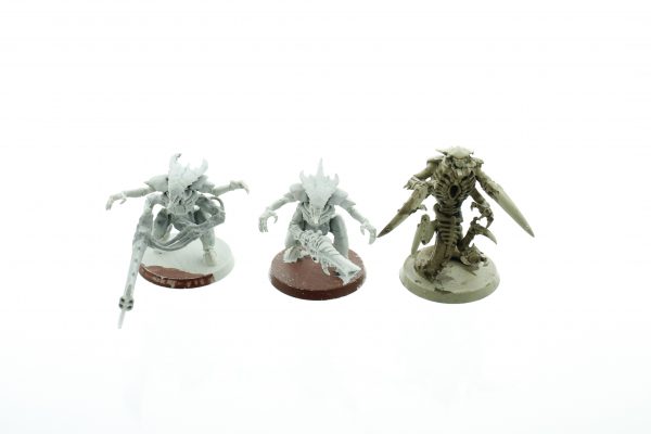 Tyranid Warriors