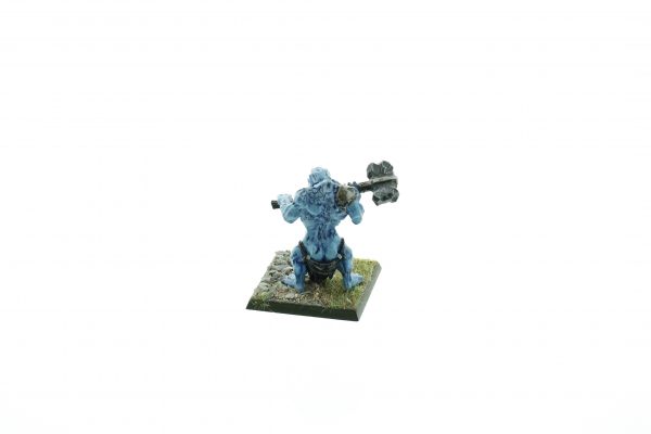 Warhammer Fantasy Troll