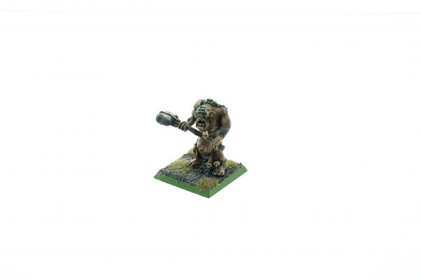 Warhammer Fantasy Troll