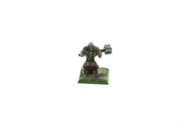 Warhammer Fantasy Troll