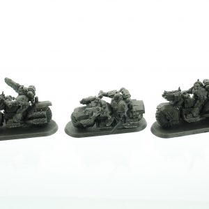 Space Marine Biker Squad