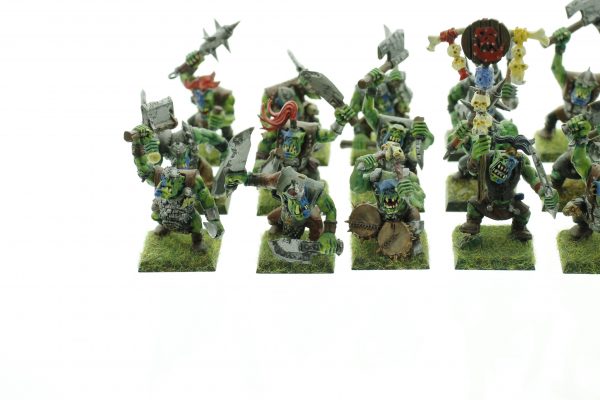 Orc Warriors Regiment